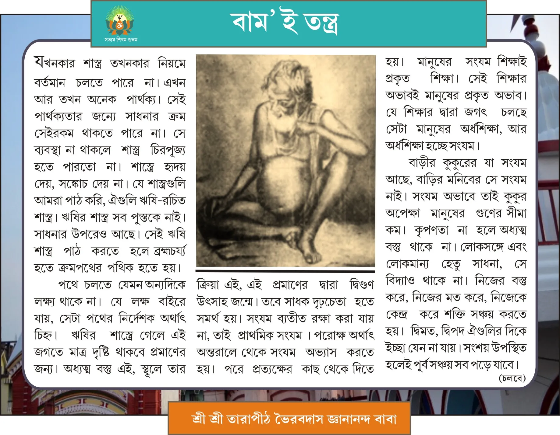 Page 3 Image