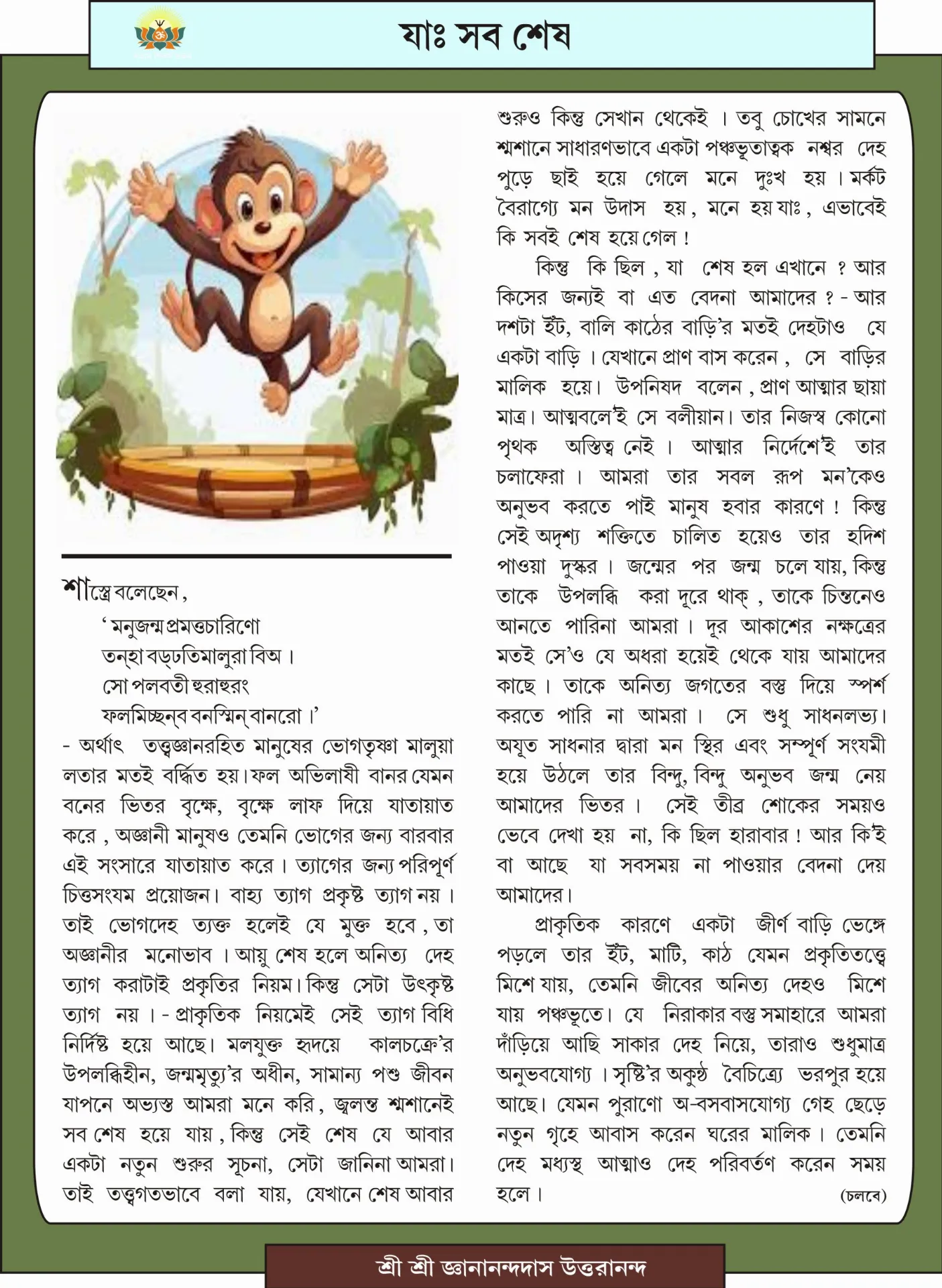 Page 5 Image