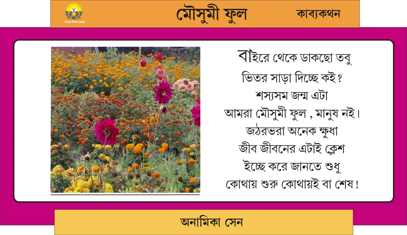 Page 6 Image