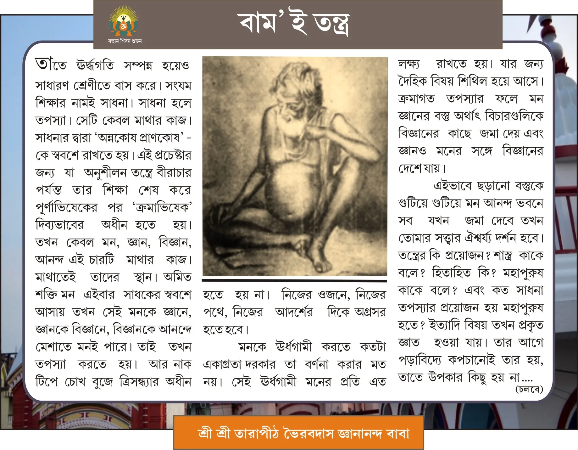 Page 3 Image