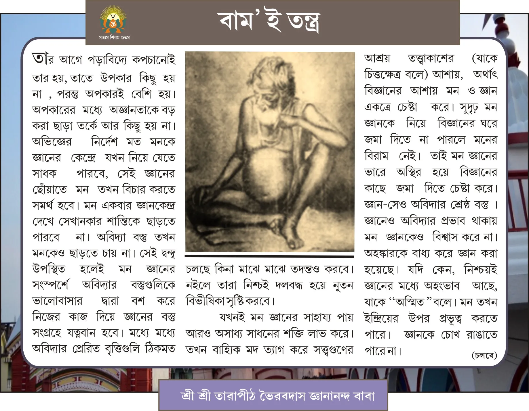 Page 3 Image