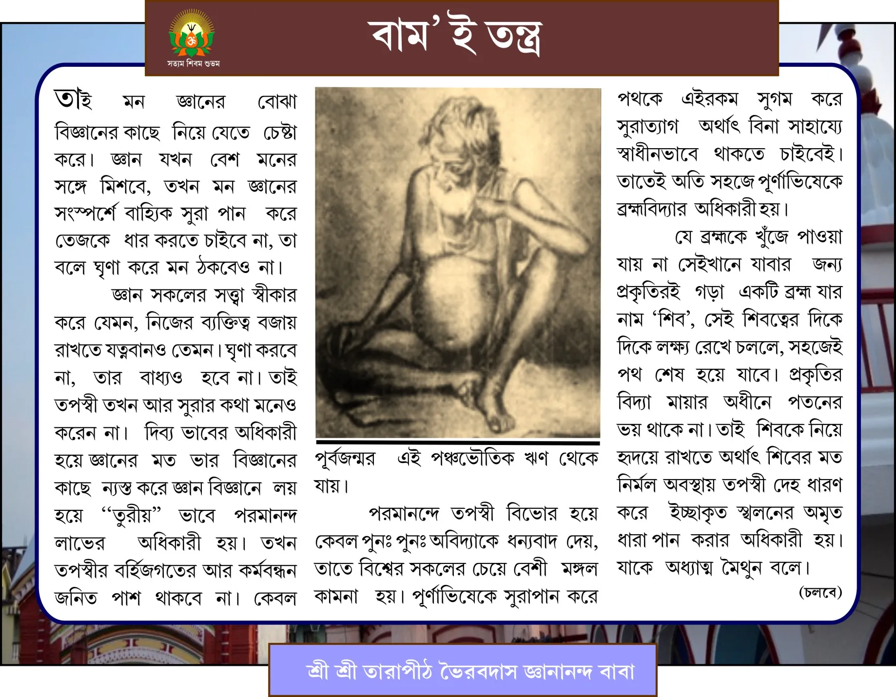 Page 3 Image