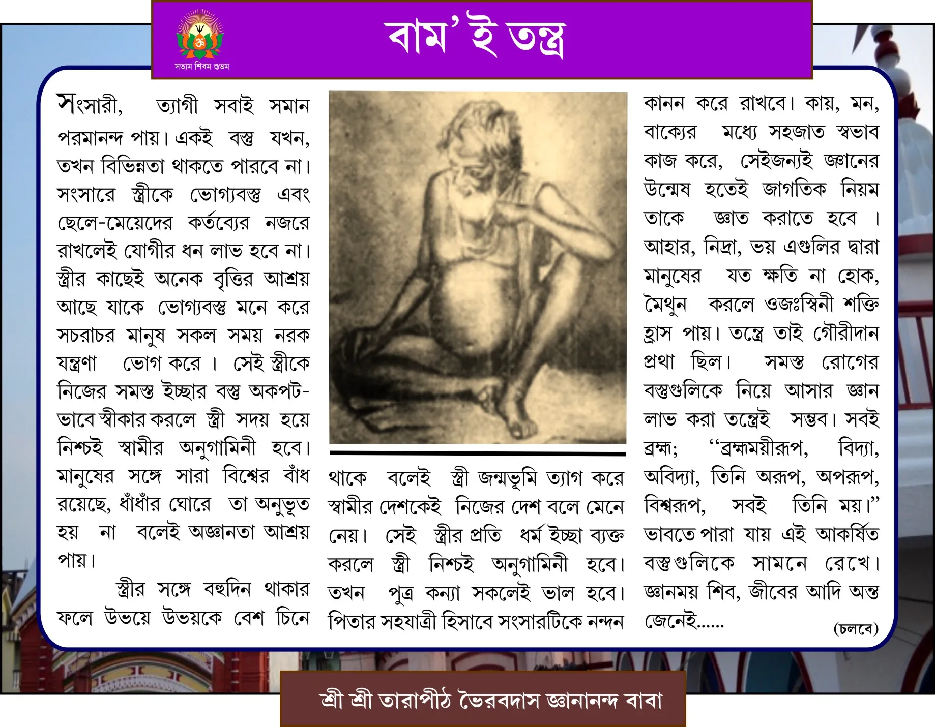 Page 3 Image
