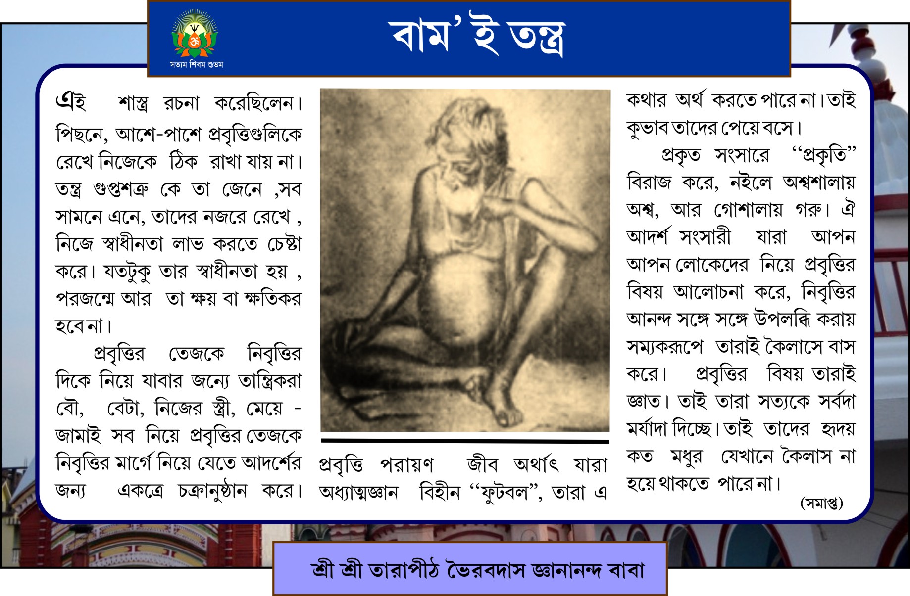 Page 3 Image